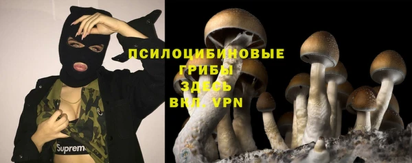 дживик Абаза