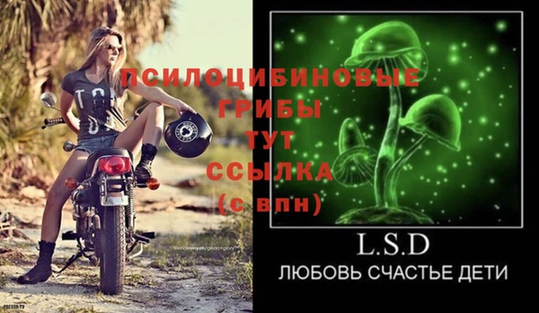 дживик Абаза