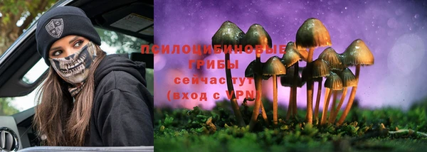 дживик Абаза