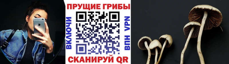 Галлюциногенные грибы GOLDEN TEACHER  Нариманов 